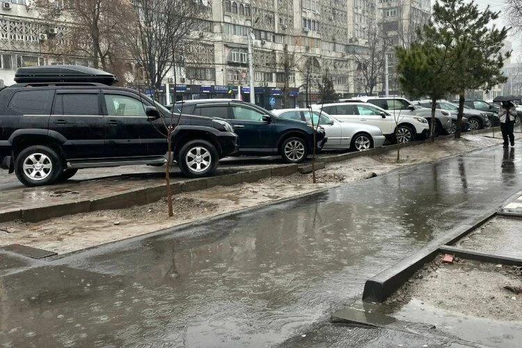 Бишкектин Венециясы. Жөө жүргүнчү максатына кантип жетип, чөкпөй калат