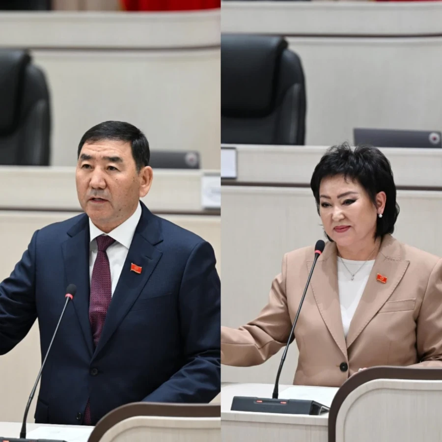 Эки комитеттин төрагалары шайланды