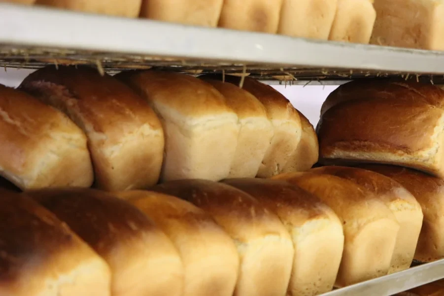 The Bishkek City Hall checked the quality of bread supplied to kindergartens