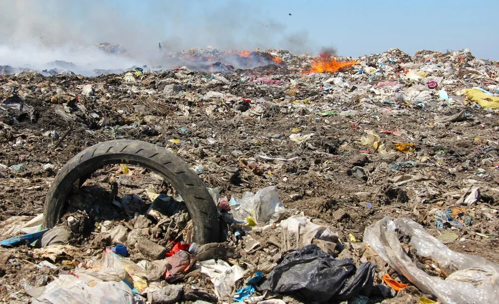 Более 10 тыс. нарушений природоохранного законодательства выявлено в 2025 году в Кыргызстане