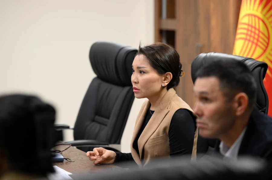 Депутат Эльвира Сурабалдиева о последних событиях в стране: Политическая оттепель будет?