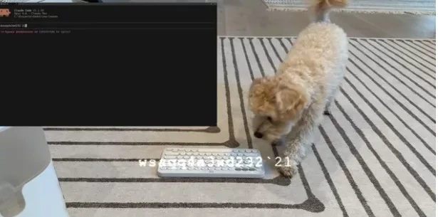 A Dog Wrote a Computer Game with the Help of AI