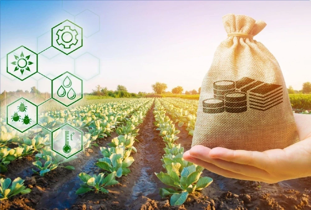 The Ministry of Agriculture of the Kyrgyz Republic approved 9 large-scale preferential lending projects