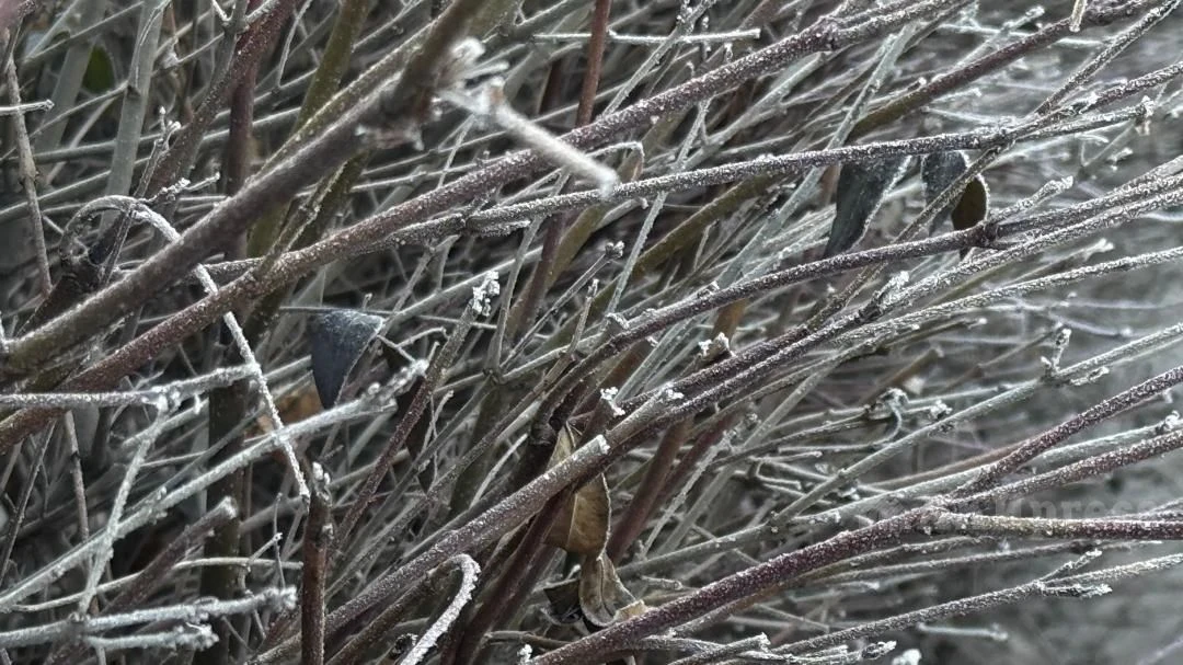 На выходных в Казахстане сохранится морозная погода