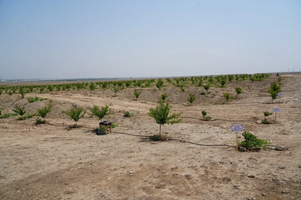 In southern Kazakhstan, a severe shortage of irrigation water is forecasted.
