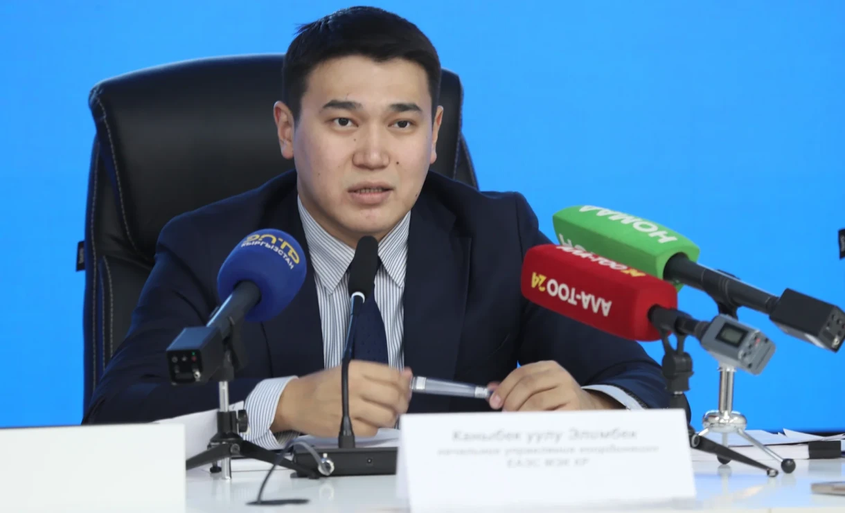 Проблемы перемещения товаров из КР через Wildberries решены на уровне ЕЭК