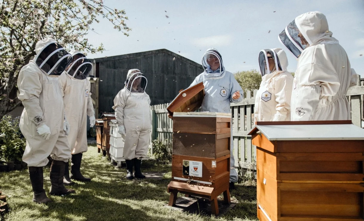 Британские компании устанавливают офисные ульи для улучшения благополучия сотрудников