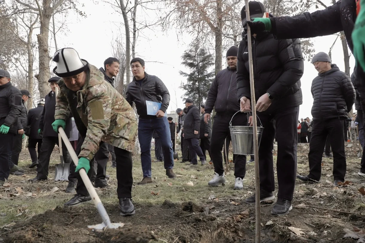 В парке имени Навои в Оше высадили около 2 тысяч саженцев