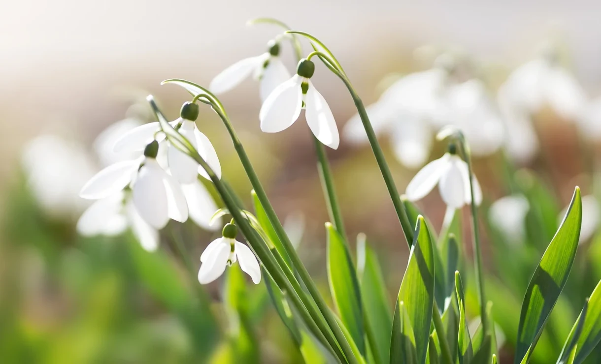 Бишкекте +22 градуска чейин жылуу болот