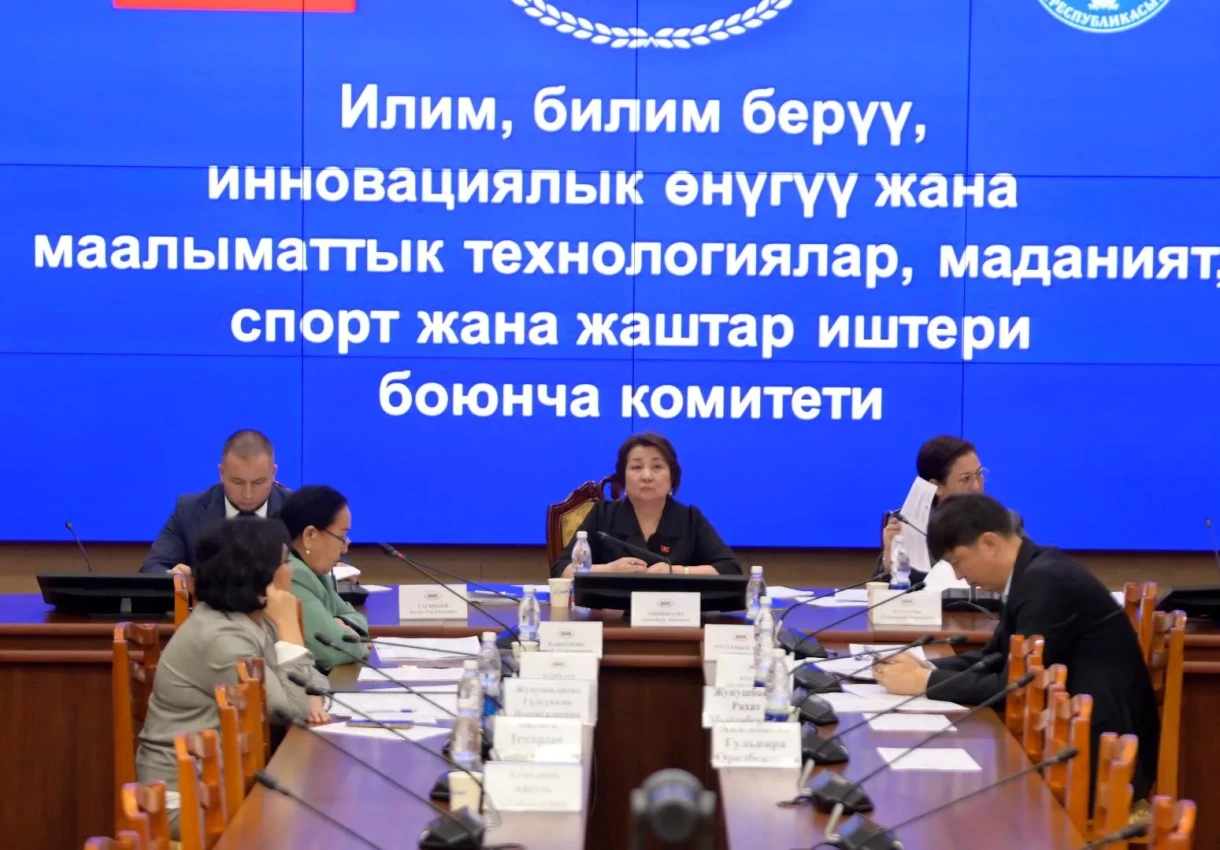 ЖК комитети жашы жете элек балдар үчүн жалпы жарандык паспорт алуу боюнча мыйзамдагы өзгөртүүлөрдү карады