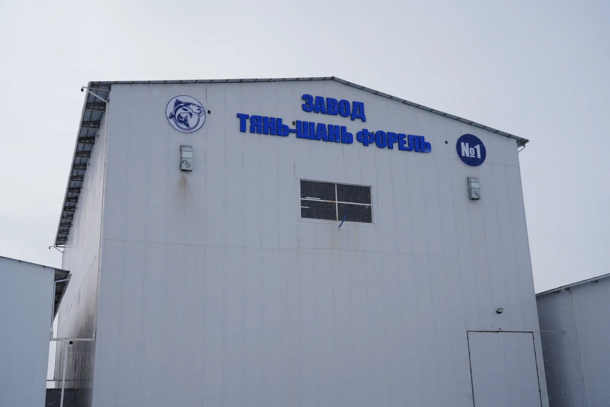 В Чуйской области открылся завод рыбных кормов. Основатель ответил на слухи о качестве