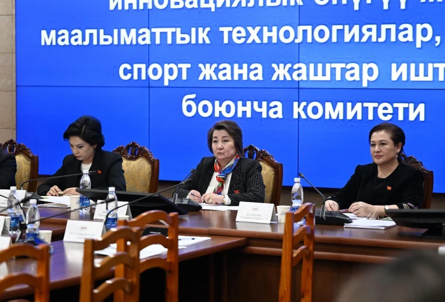 В Жогорку Кенеш обратили внимание на нехватку психологов в школах