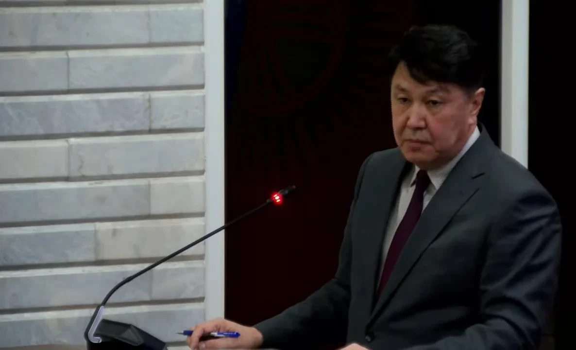 Barriers at the border are linked to internal problems of Russia and Kazakhstan – Deputy Head of the EEC