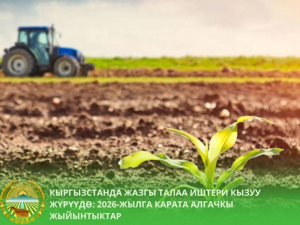 In Kyrgyzstan, 1.25 million hectares of land have been allocated for harvest