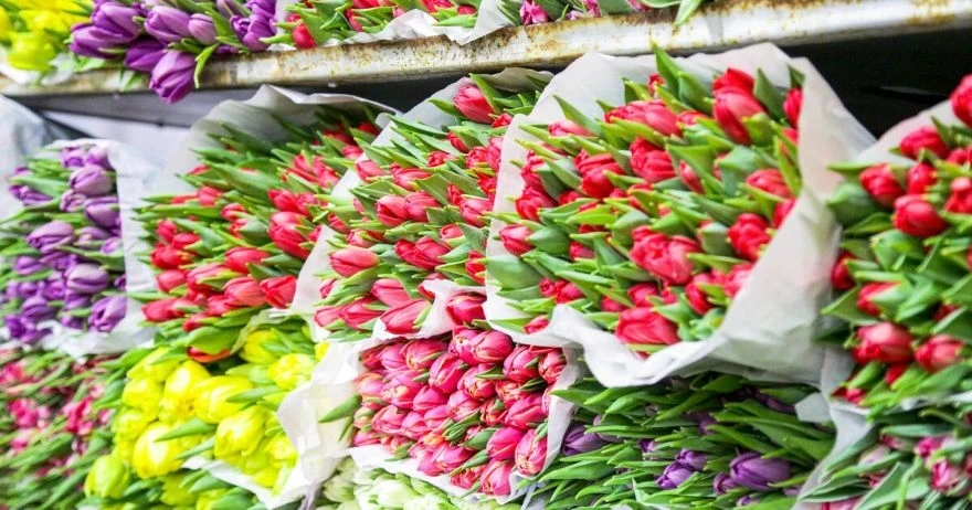 Over 4 million flowers imported to Kyrgyzstan ahead of March 8