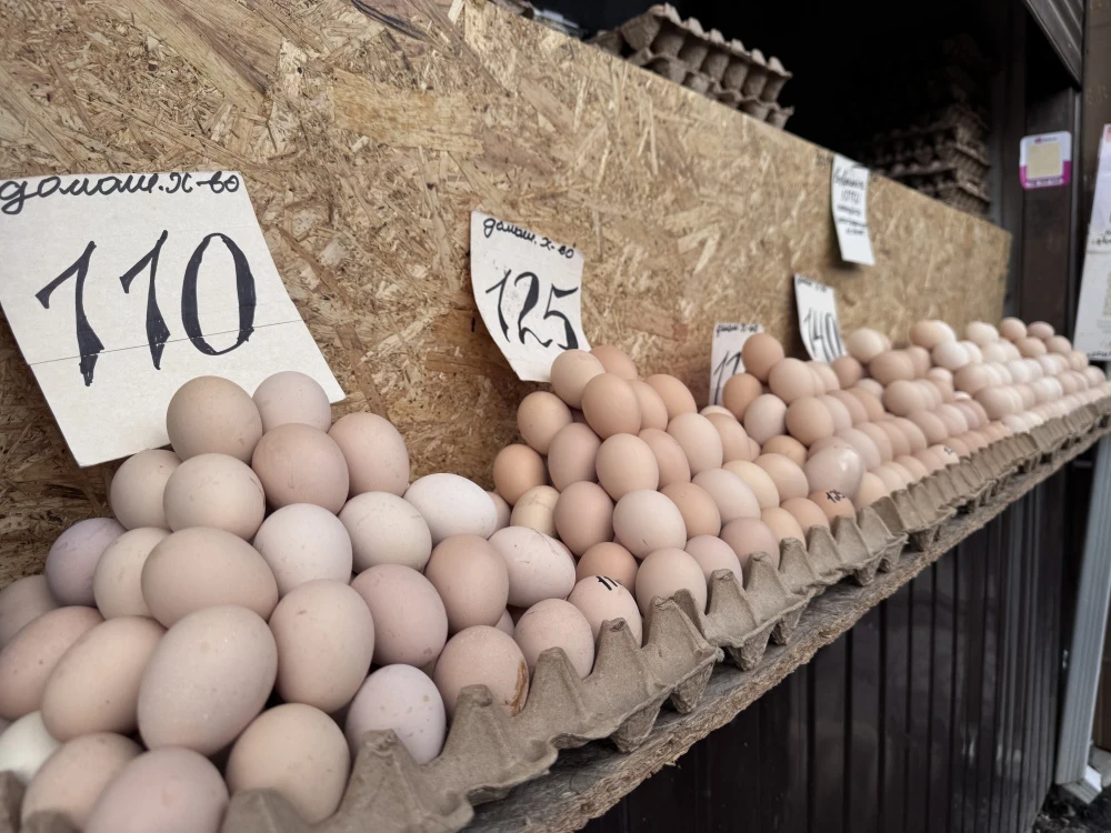 Почему яйца в Кыргызстане стали "золотыми"? Названы три причины