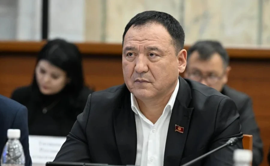 The CEC is checking for a criminal record of the deputy of the ЖК Bekmurza Ergeshov