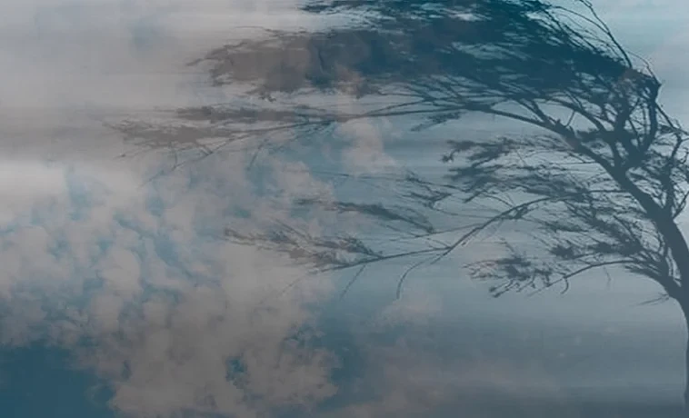 Attention! Strong winds are expected in Bishkek and the Chui region.