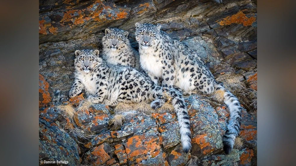 Warm weather is expected in most regions of Mongolia starting March 6