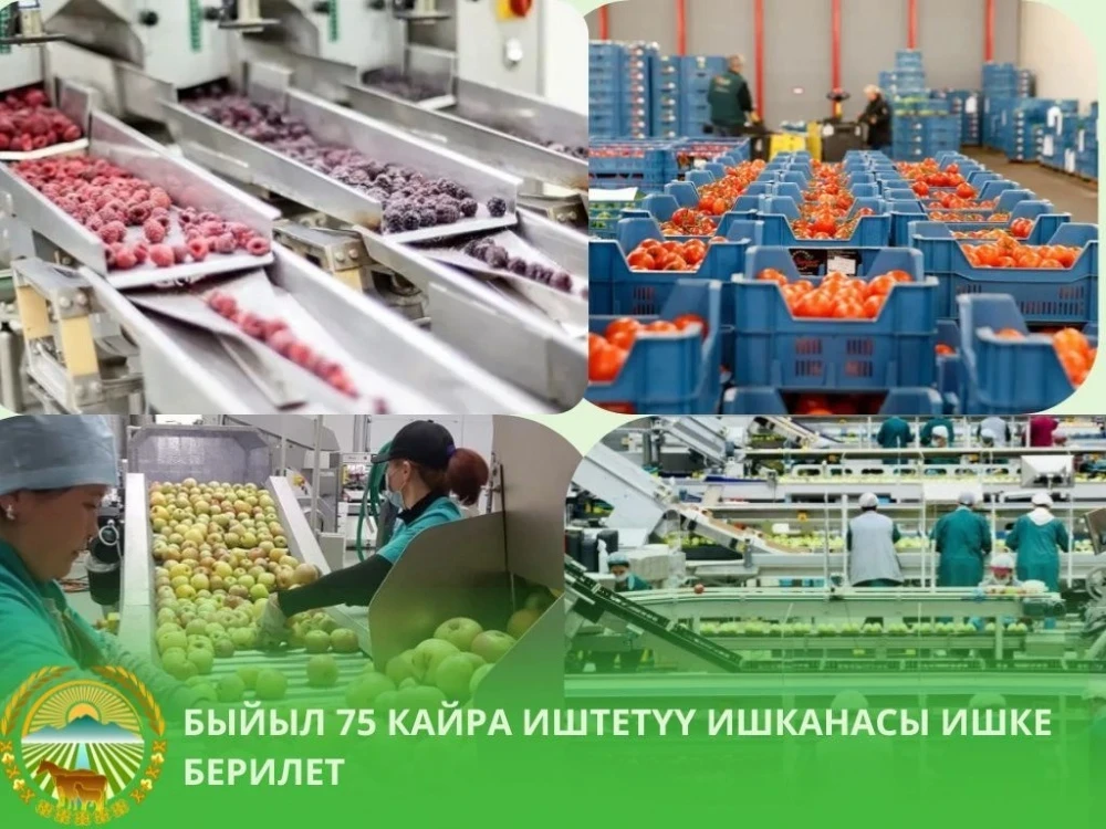 В 2026 году по всему Кыргызстану откроются 75 перерабатывающих предприятий