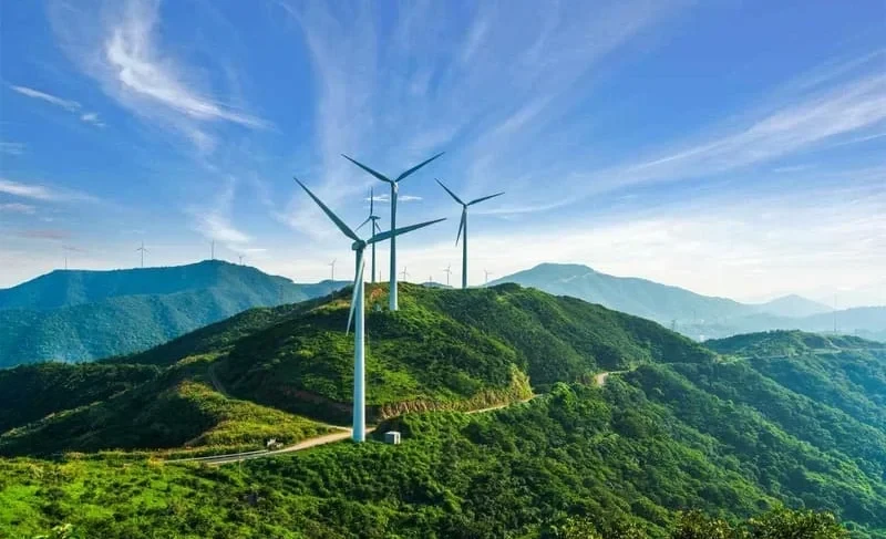 Kyrbasheva: "Green" Energy - A New Step Towards Energy Security