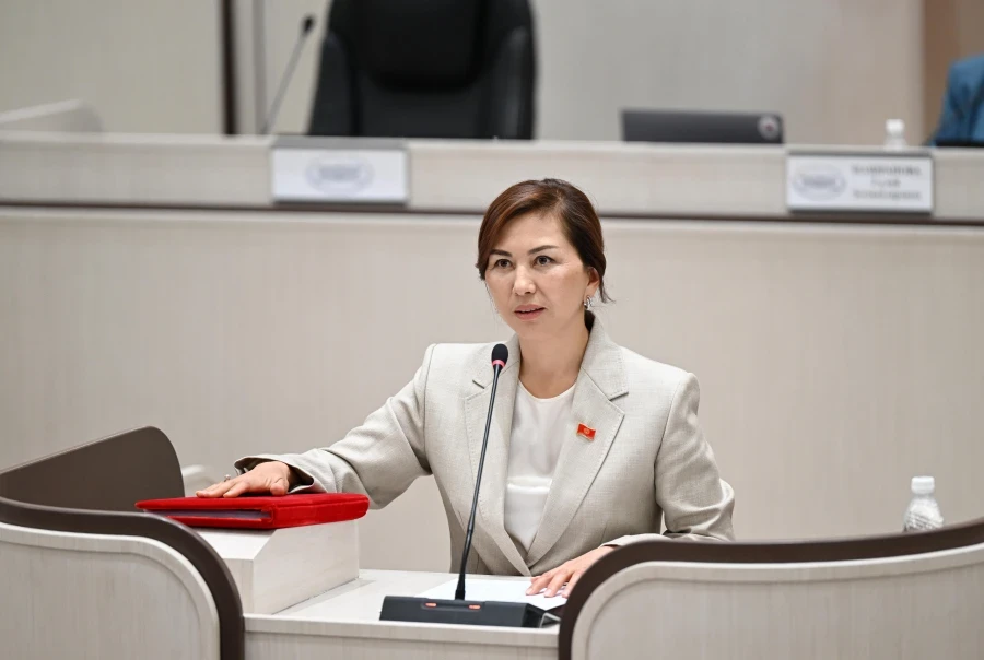 In Parliament, the issue of difficulties faced by domestic exporters at the border with Kazakhstan was raised