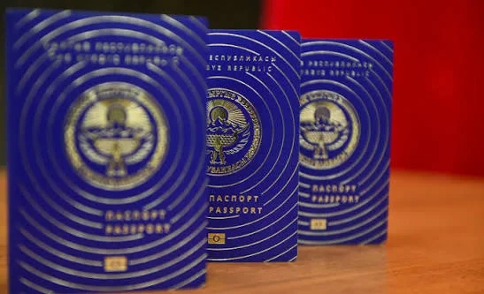 The State Duma adopted a bill simplifying the issuance of passports for children under 16 in the first reading