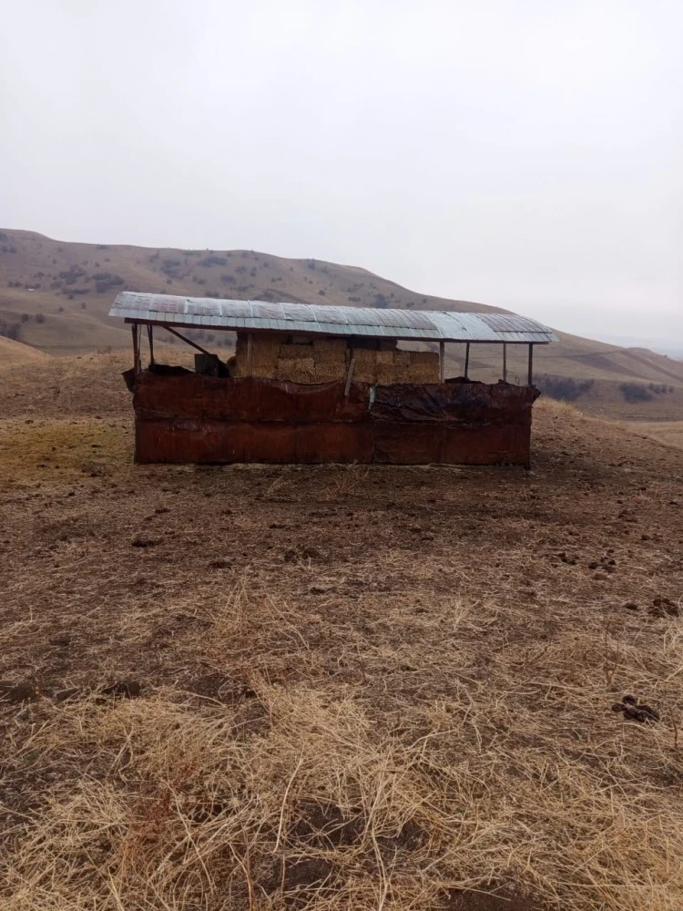 The Ministry of Agriculture has identified illegal seizure of pastures in the village of Kyzyl-Tuu