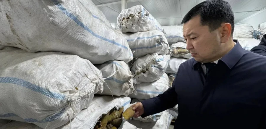 Kyrgyz Apricots and Carrots in Turkish Markets: A Logistics Center Opened in the Aravan District for 21 Million Som