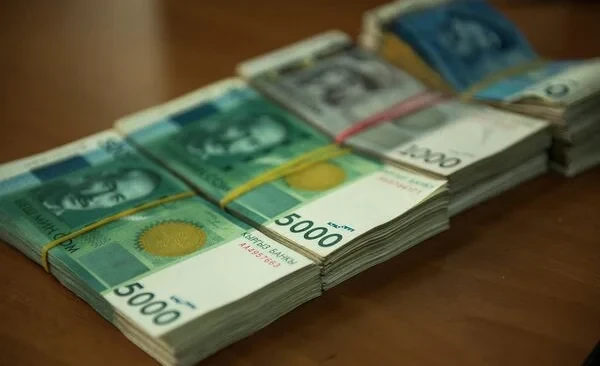 In 2025, the Ministry of Natural Resources collected over 973 million soms for environmental pollution.