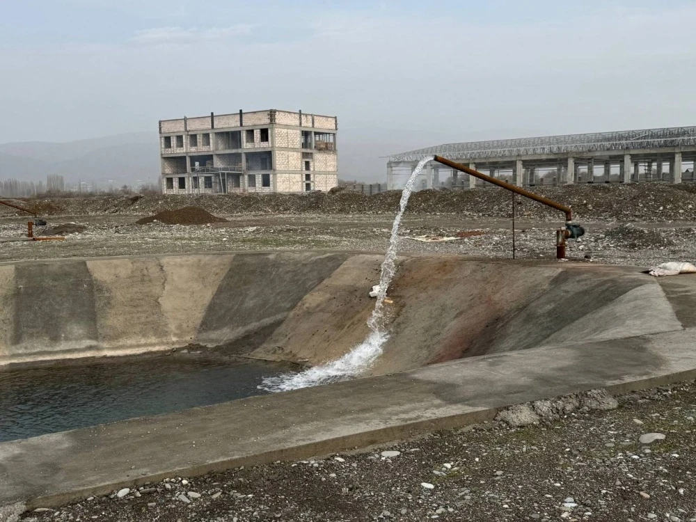 A Powerful Fish Cluster is Being Established in the Jalal-Abad Region