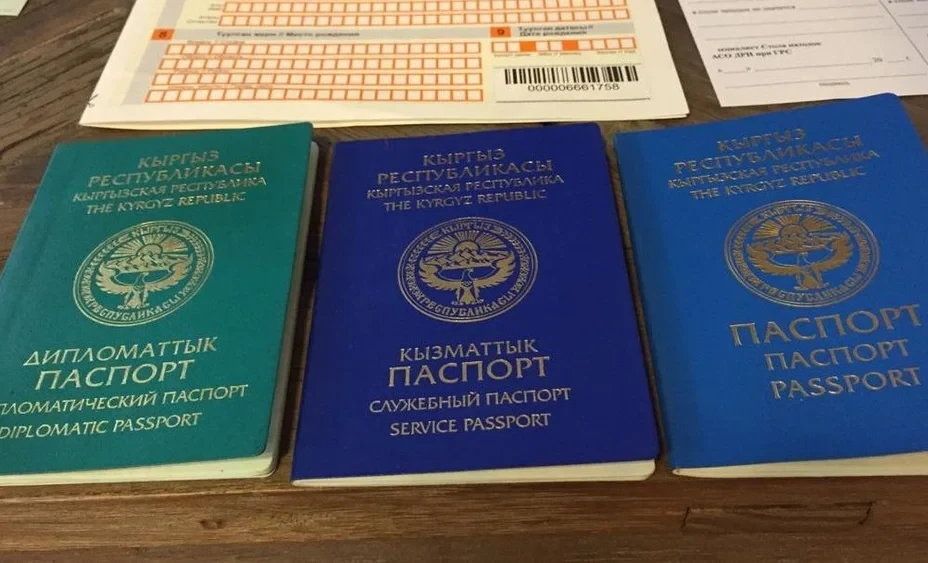 Депутаттар дипломатиялык паспорттор үчүн бир катар өлкөлөр менен визаларды жоюу боюнча келишимди бекитишти