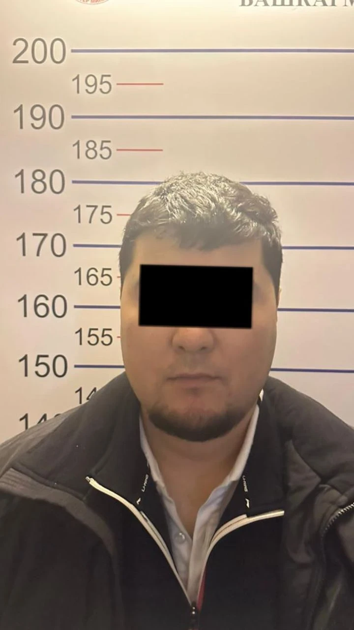 Бишкекте айдоочулук укуктарын колдонуу менен алдамчылыкка шектелген адам кармалды