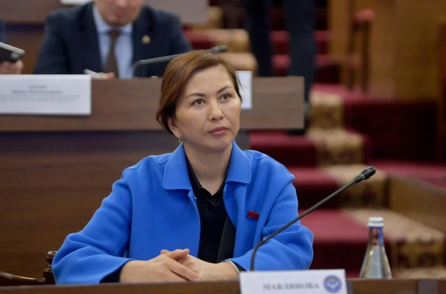 Deputy of the Jogorku Kenesh Opposes Coal Exports