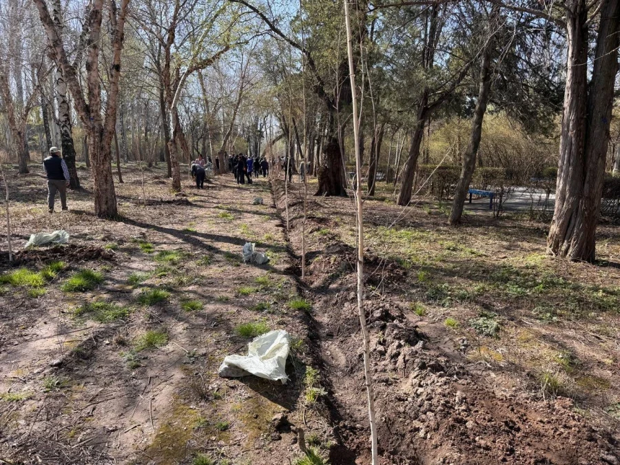 В Кыргызстане посадят 9 млн деревьев