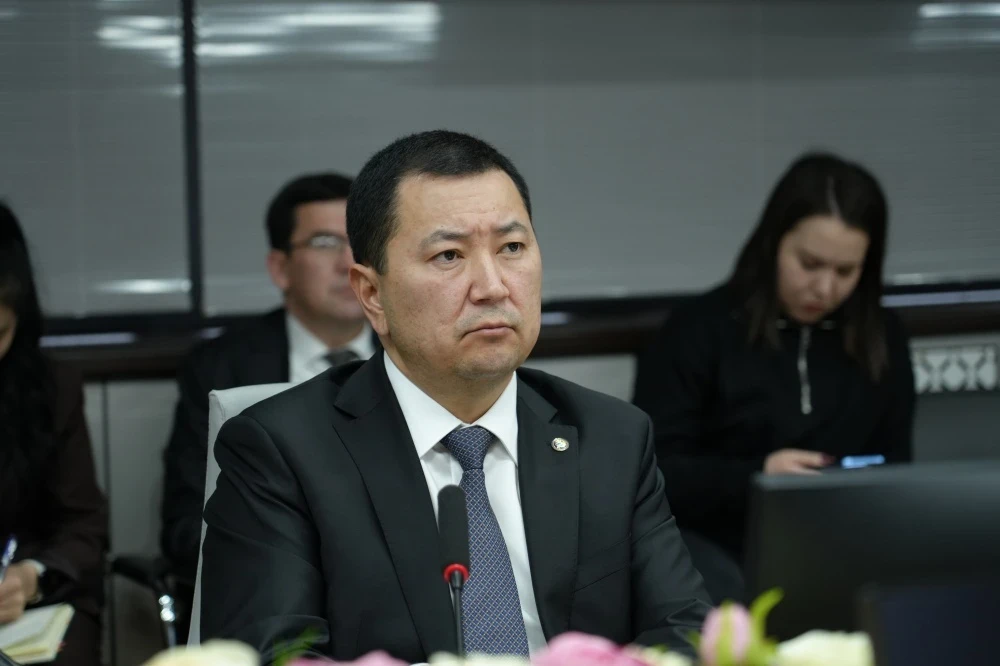 Эрлист Акунбеков призвал граждан не скрывать поголовье скота при переписи