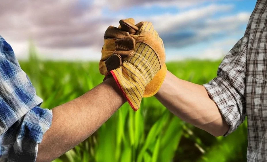 The Ministry of Agriculture modernizes agriculture and develops cooperation in the country