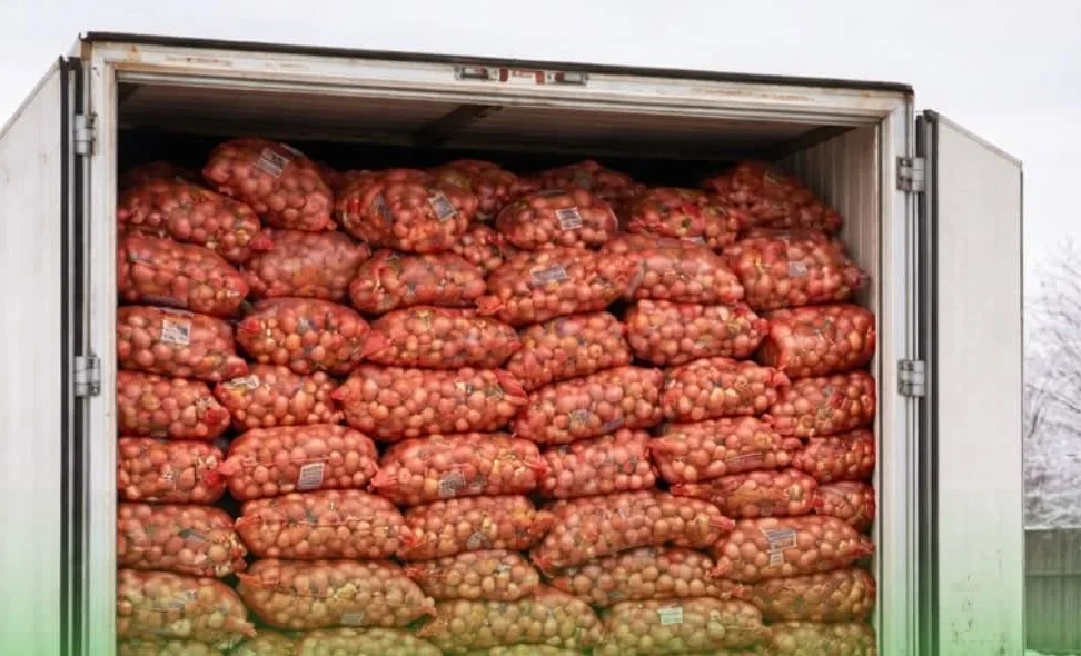 56 Tons of Onions from Kazakhstan Not Allowed into Kyrgyzstan