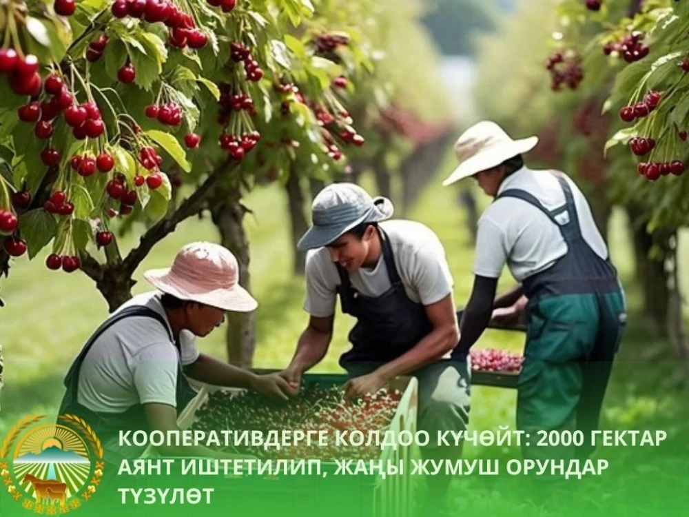 Кыргызстанда кооперативдер 2000 гектарды иштетүү үчүн жаңы техника алышат