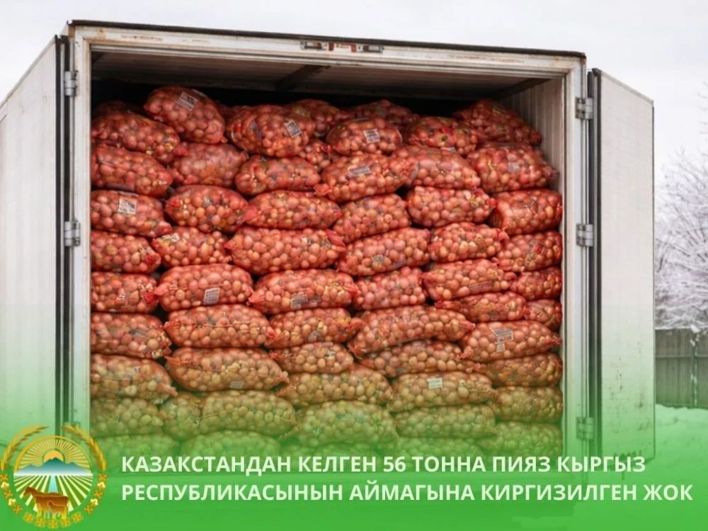 Kyrgyzstan Returned 56 Tons of Onions to Kazakhstan Due to Document Violations