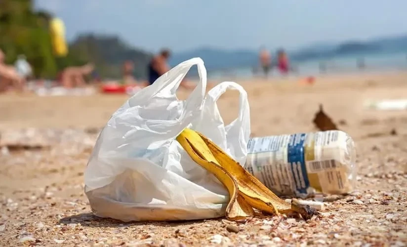 Chynybaeva: The Main Problem of Plastic Bags is Their Disposal