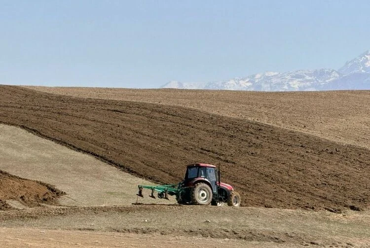 It is planned to sow agricultural crops on more than 1.2 million hectares in Kyrgyzstan.