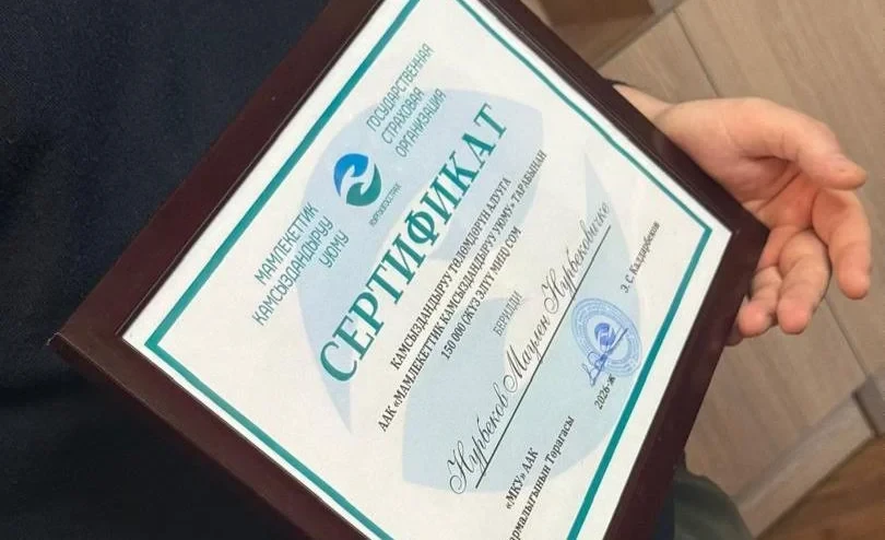 An Accident Happened - Don't Panic! What Drivers Say About OSAGO and CASCO