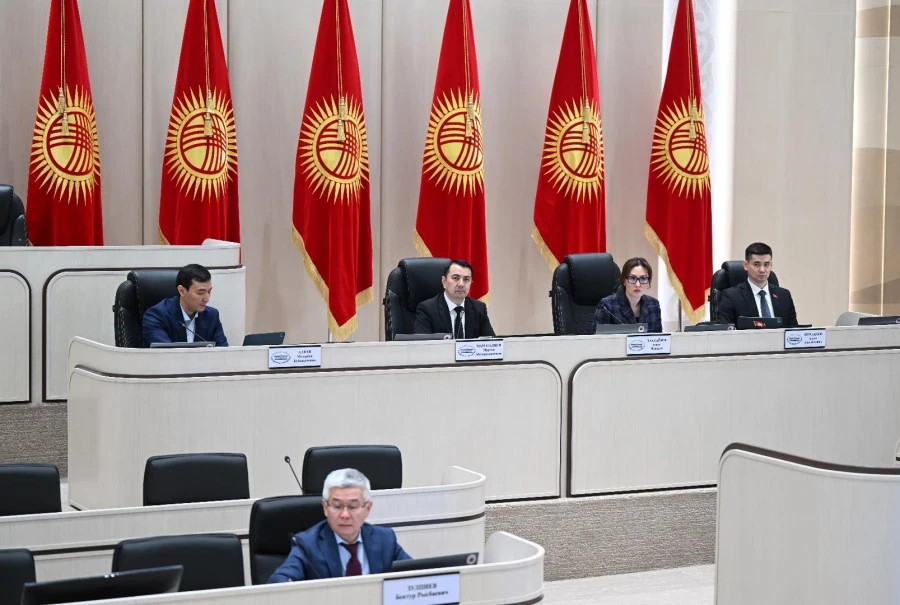 The Jogorku Kenesh adopted a resolution on measures to combat internet and banking fraud