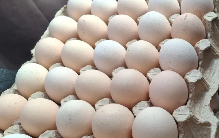 Минводсельхозпром: Жумуртка бааларынын өзгөрүшү нормалдуу көрүнүш