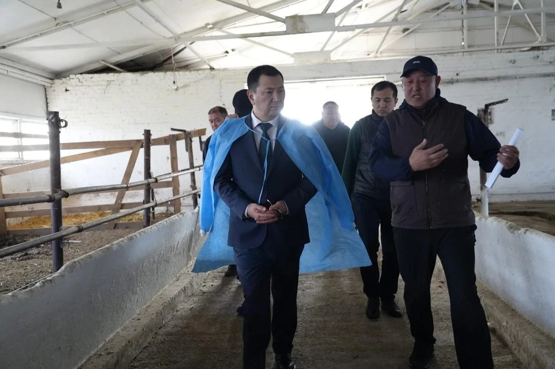 The Head of the Ministry of Water Resources and Agriculture Took Control of Measures to Ensure Veterinary Safety