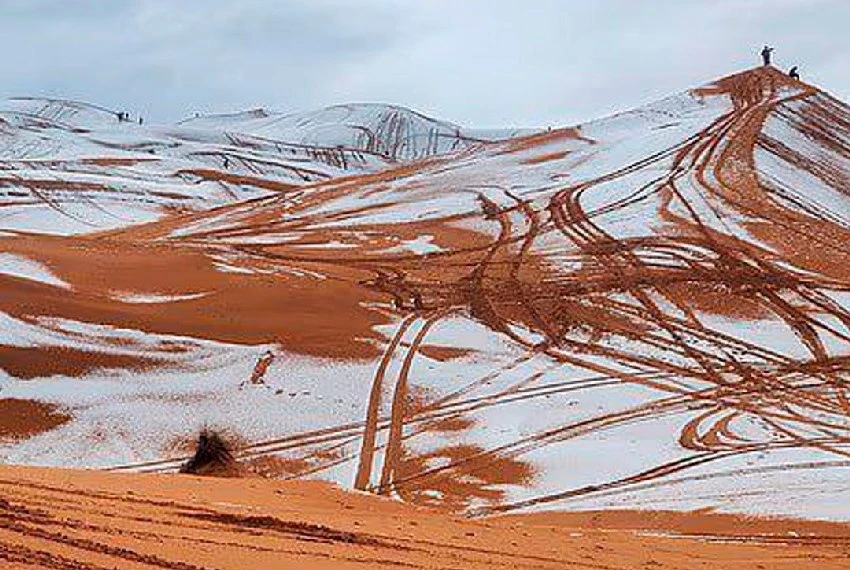 Orange Dunes in the Snow: Frost Hits the Sahara Desert