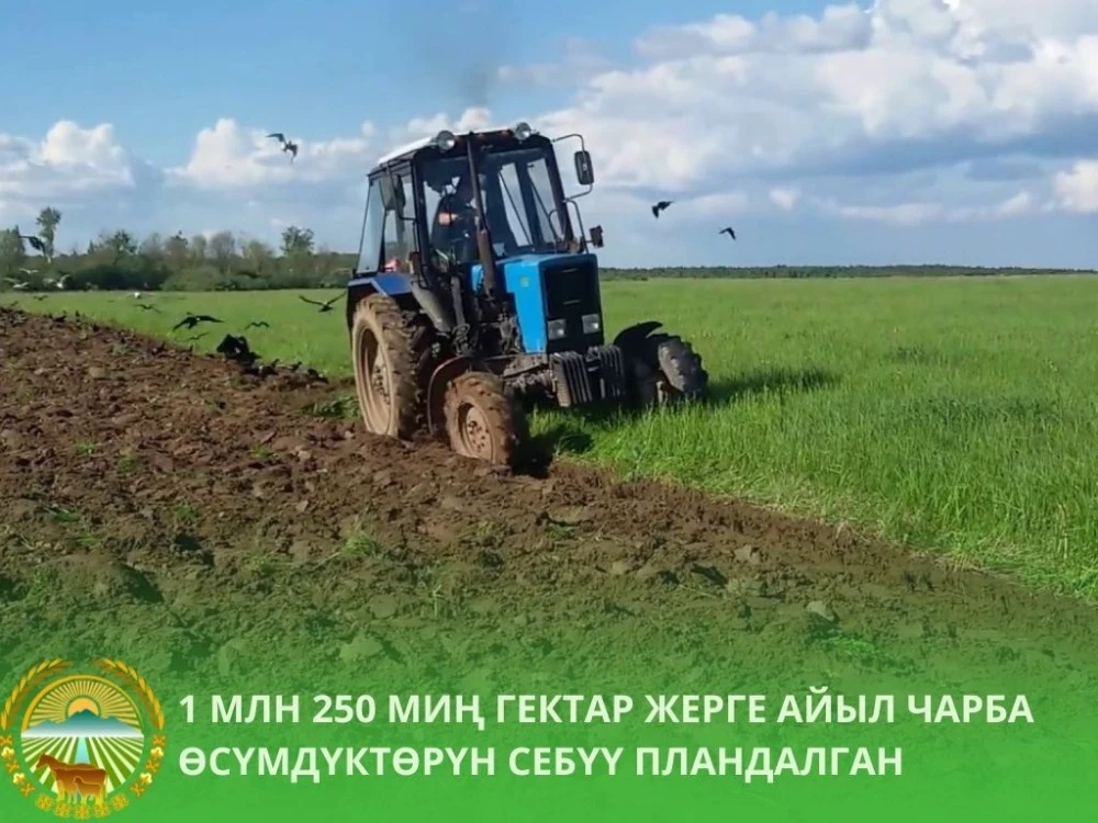 Кыргызстанда 2026-жылга түшүм үчүн 1,25 млн гектар жерди эгет