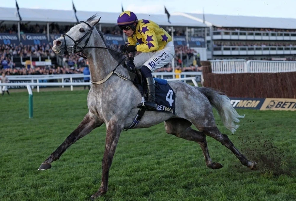 Скачки в Великобритании: триумф Кицбюэля и неудача фаворита Мэйджборо