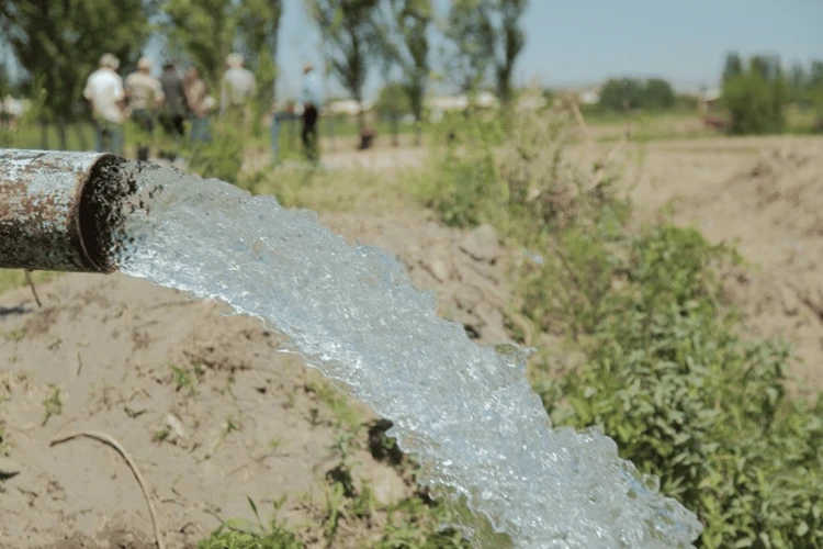 Мы оплачиваем половину стоимости воды. Какие изменения предлагал новый закон
